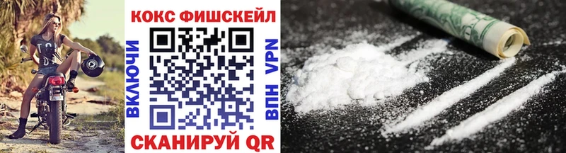как найти наркотики  Каменск-Уральский  Cocaine FishScale 
