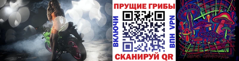 Галлюциногенные грибы MAGIC MUSHROOMS  как найти закладки  Каменск-Уральский 
